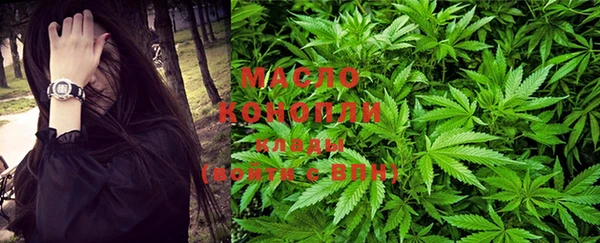 дмт Осташков