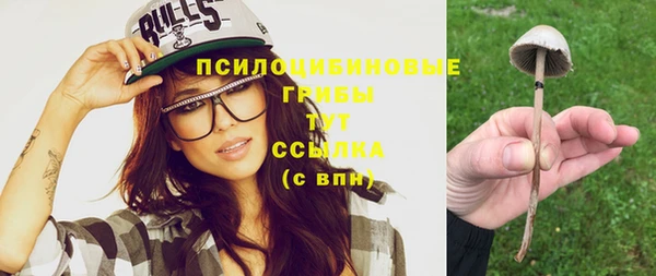 дмт Осташков