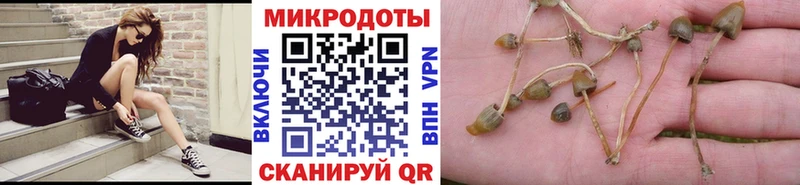 Купить  Каменск-Уральский  Галлюциногенные грибы Psilocybine cubensis 